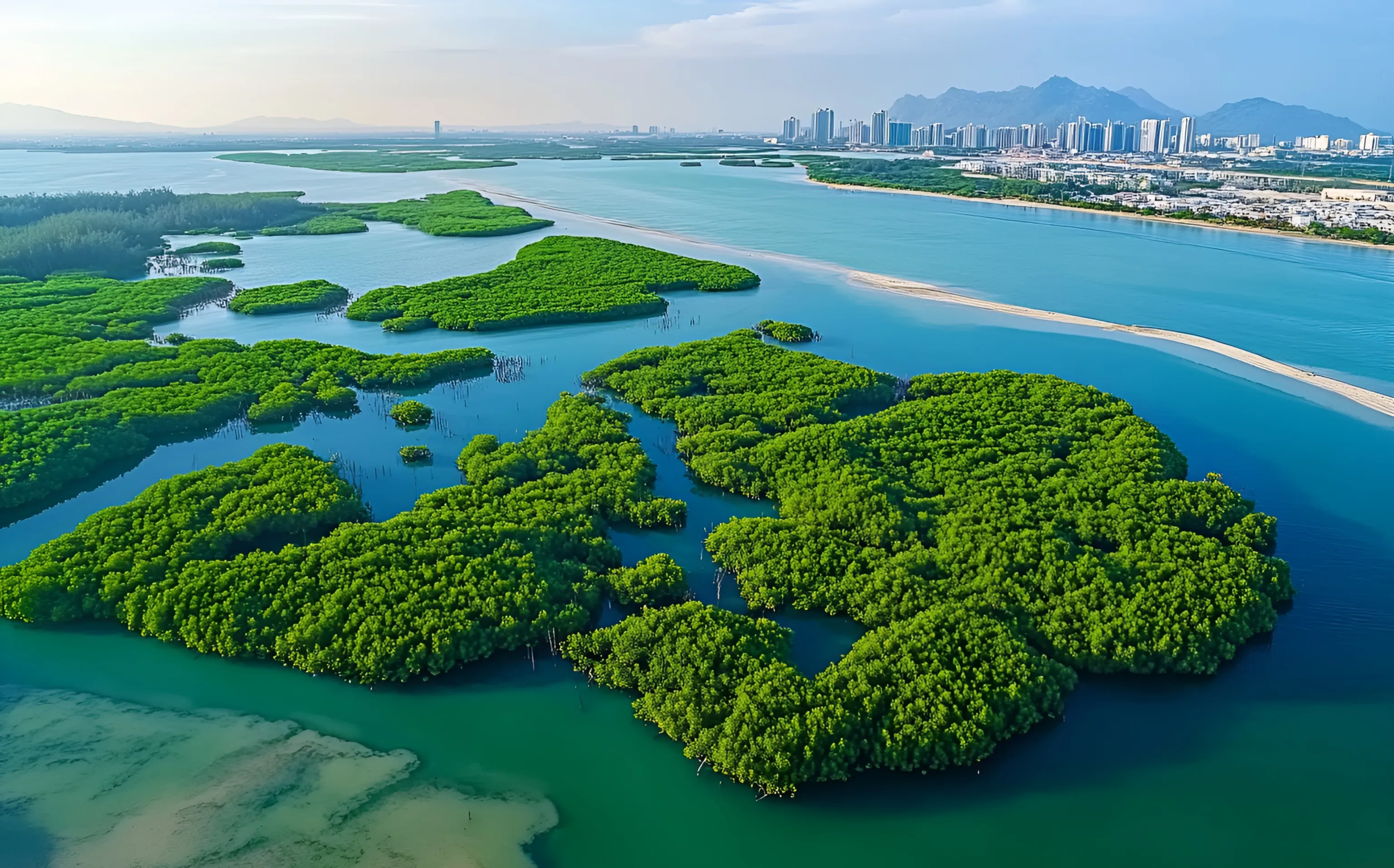 蓝碳“北渔南林”加速成型：福建霞浦红树林海洋CCER首单落地