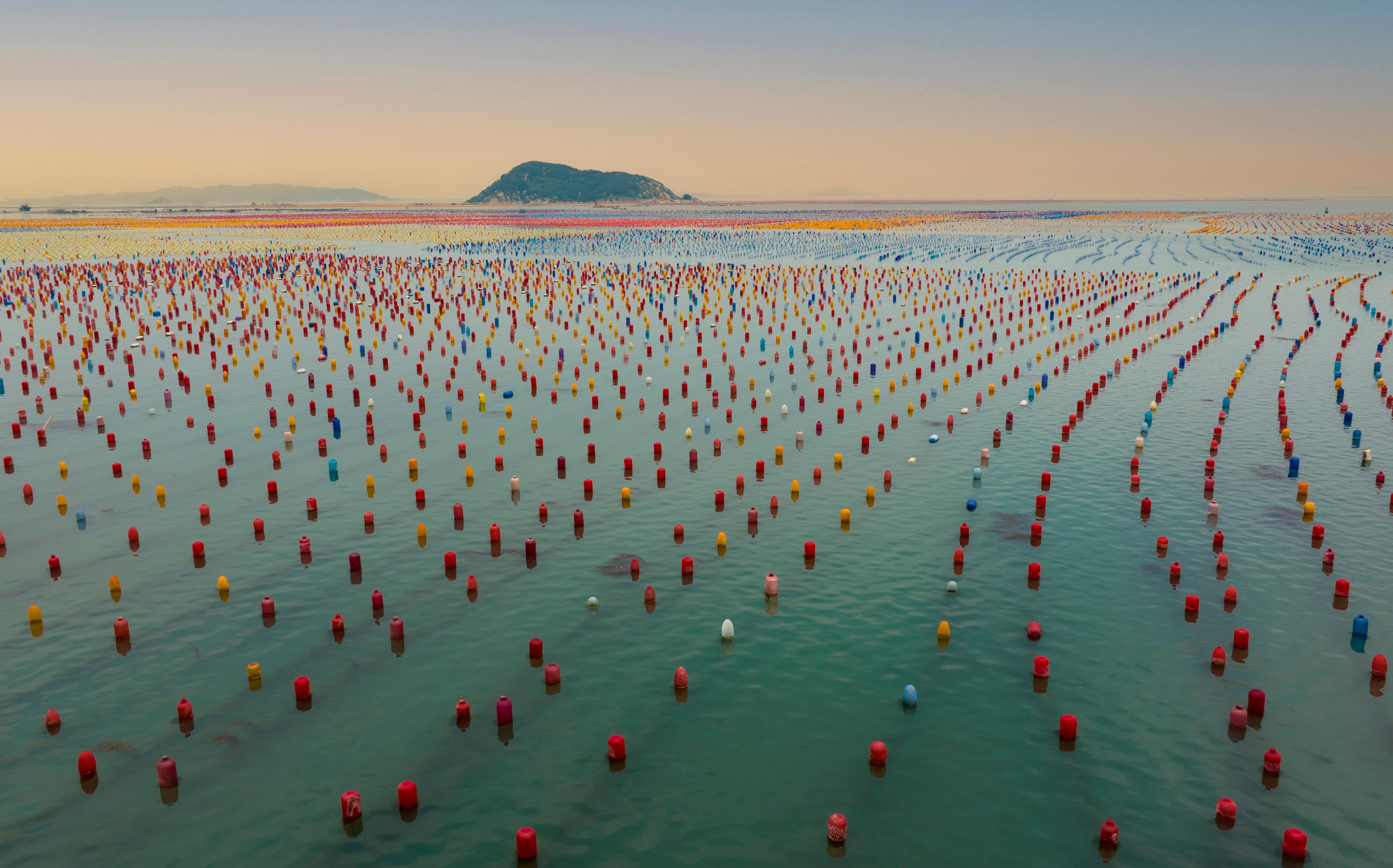 大食物观下的产业链集结:第四届国际海洋牧场(佛山)博览会7月将开幕