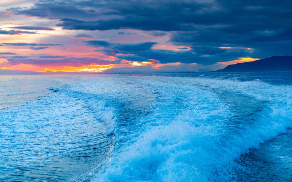 公海BBNJ协定正式生效,中小海洋企业面临合规大考