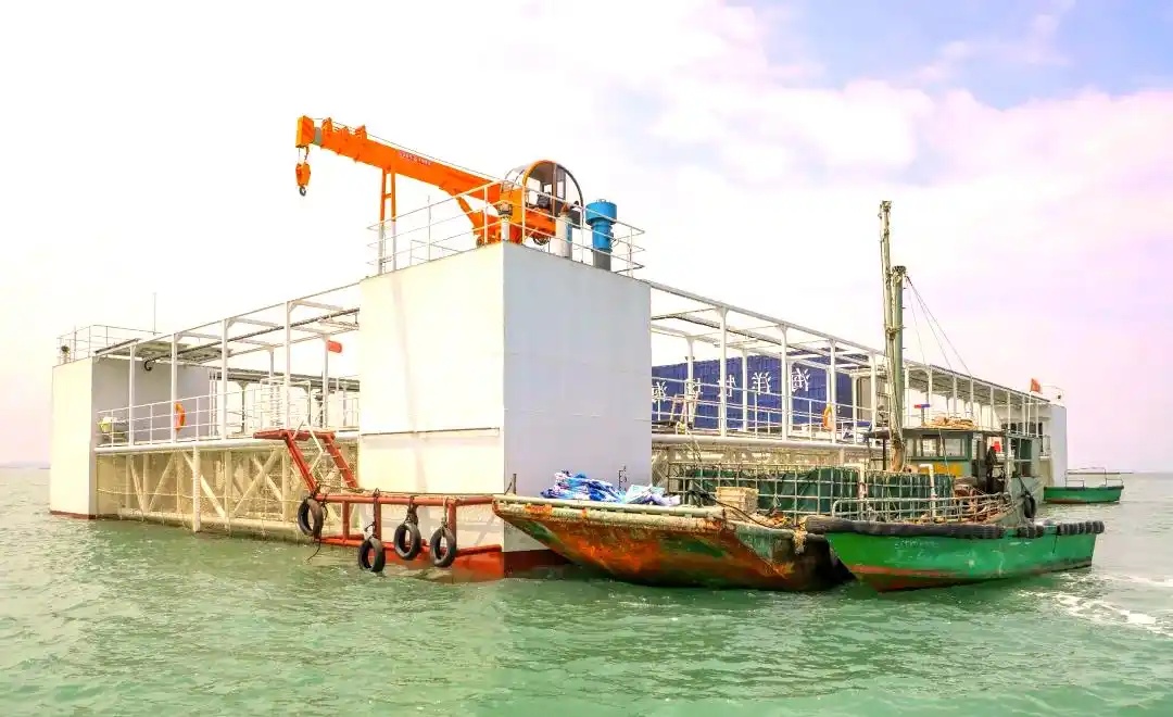 广东省雷州流沙湾海域农发国家级海洋牧场