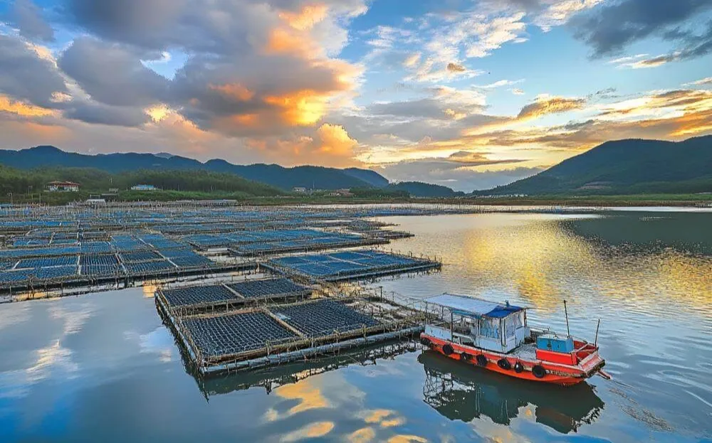 珠海金湾海域斩获大湾区首张风渔融合网箱平台CCS入级证书