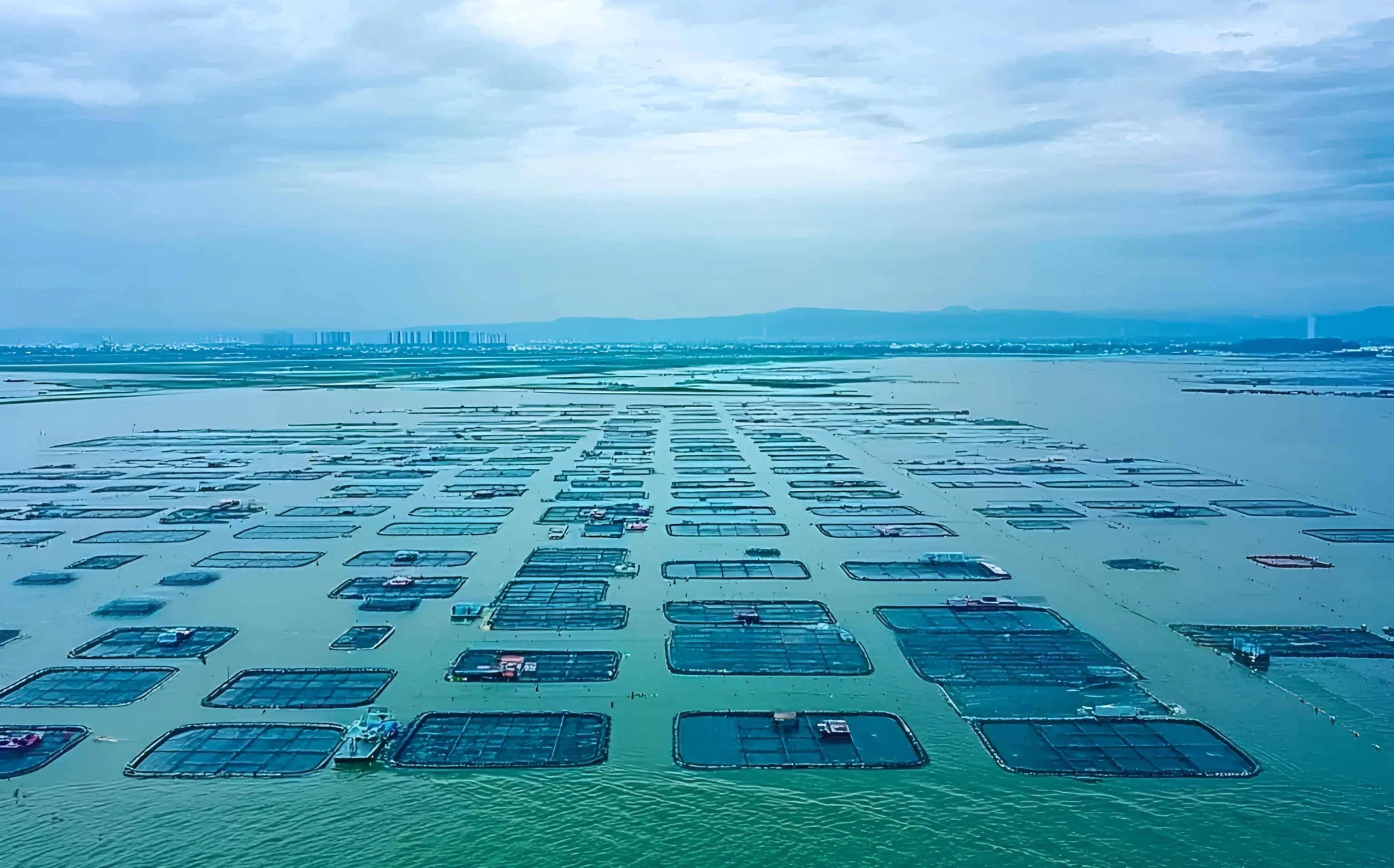 2.57亿补助到账，中水渔业全年业绩获重磅“压舱石”